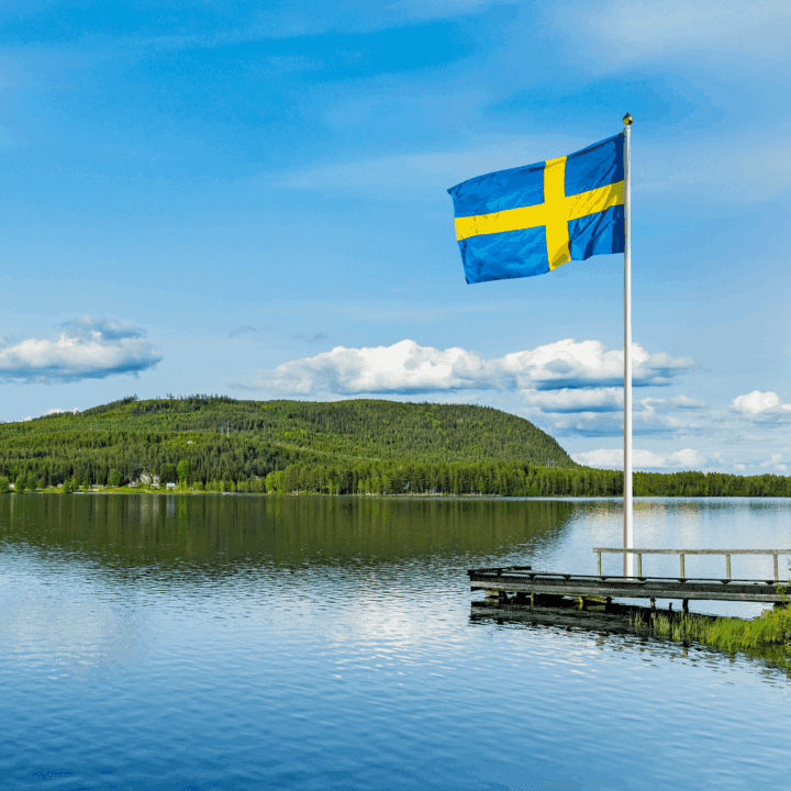 Många har bilden av att Sverige skyddar värdefull natur och ligger i framkant med klimat- och miljöarbetet.