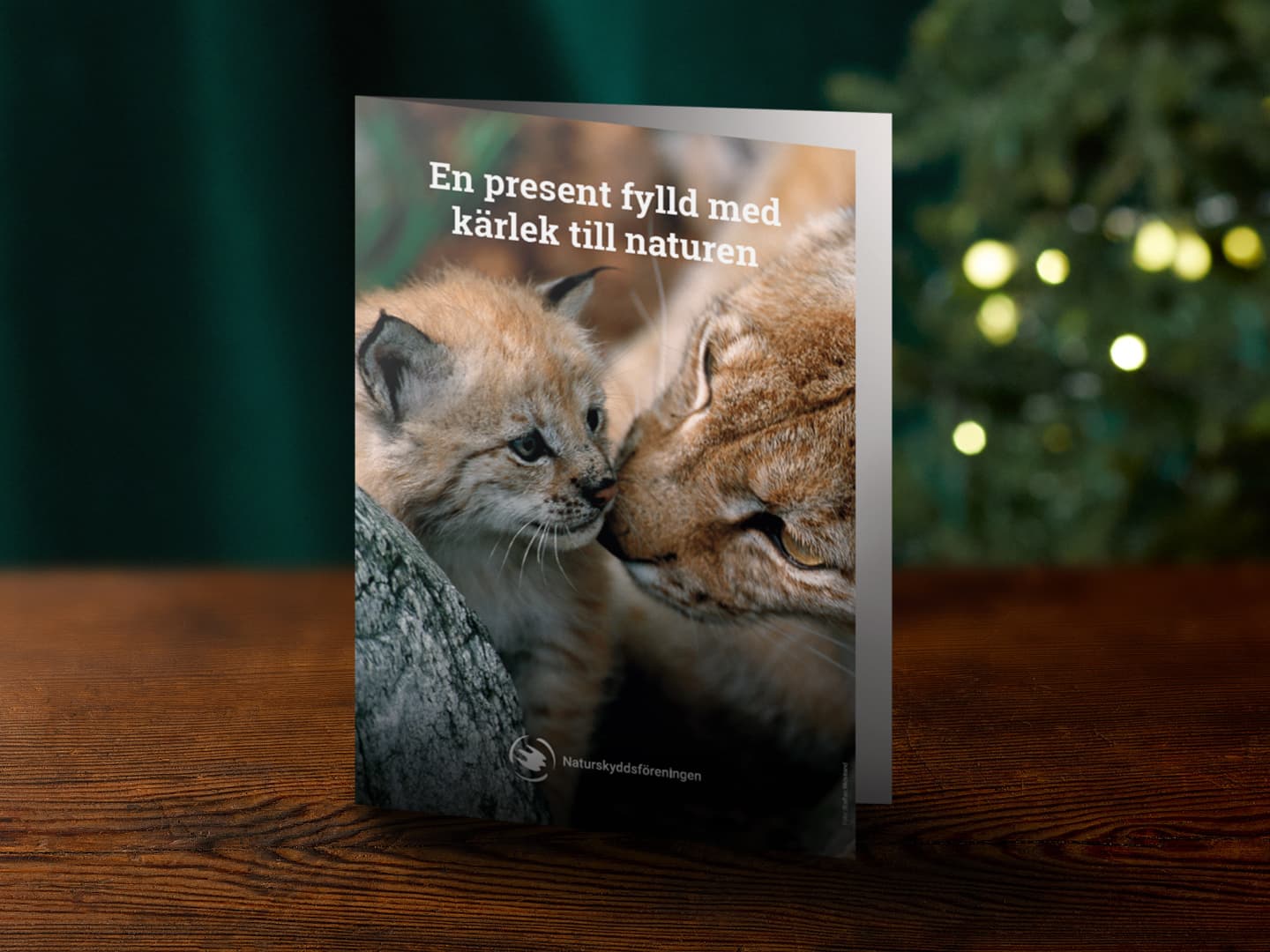 Presentmedlemskap familj, jul