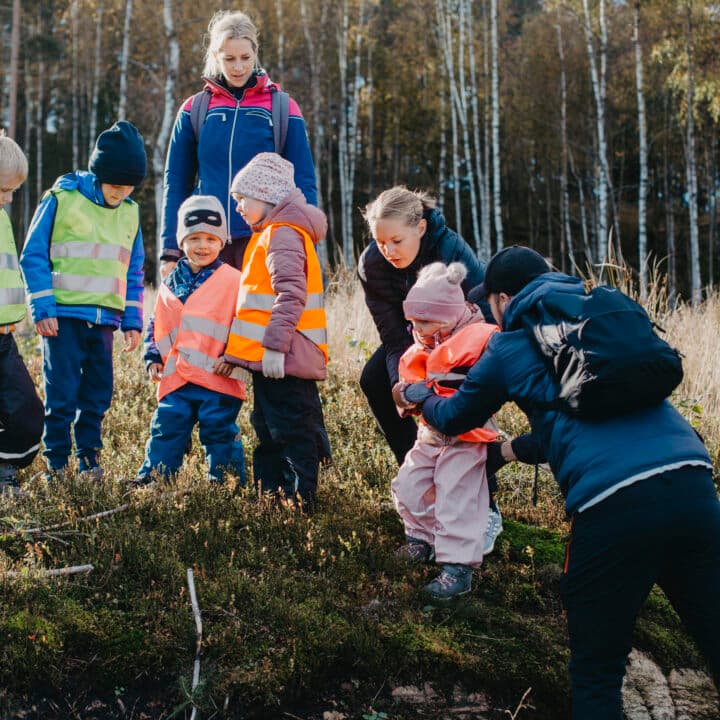 Från frö till träd - Naturskyddsföreningen