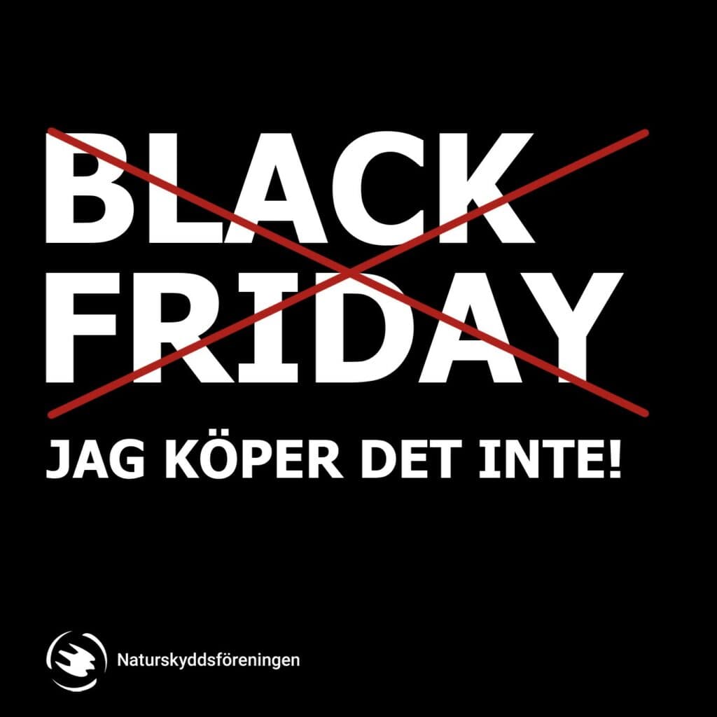 black friday