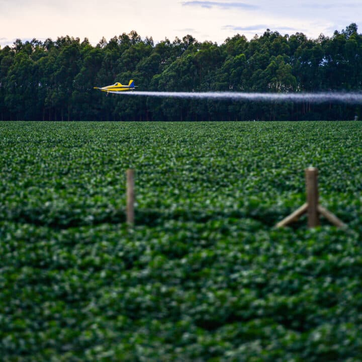 Flygplan, Soja, Brasilien, Bekämpningsmedel, Mato Grosso, Plantering, Odling, Jordbruk