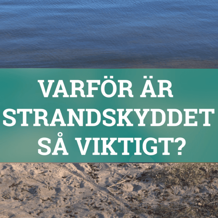 Strandskydd Naturskyddsföreningen