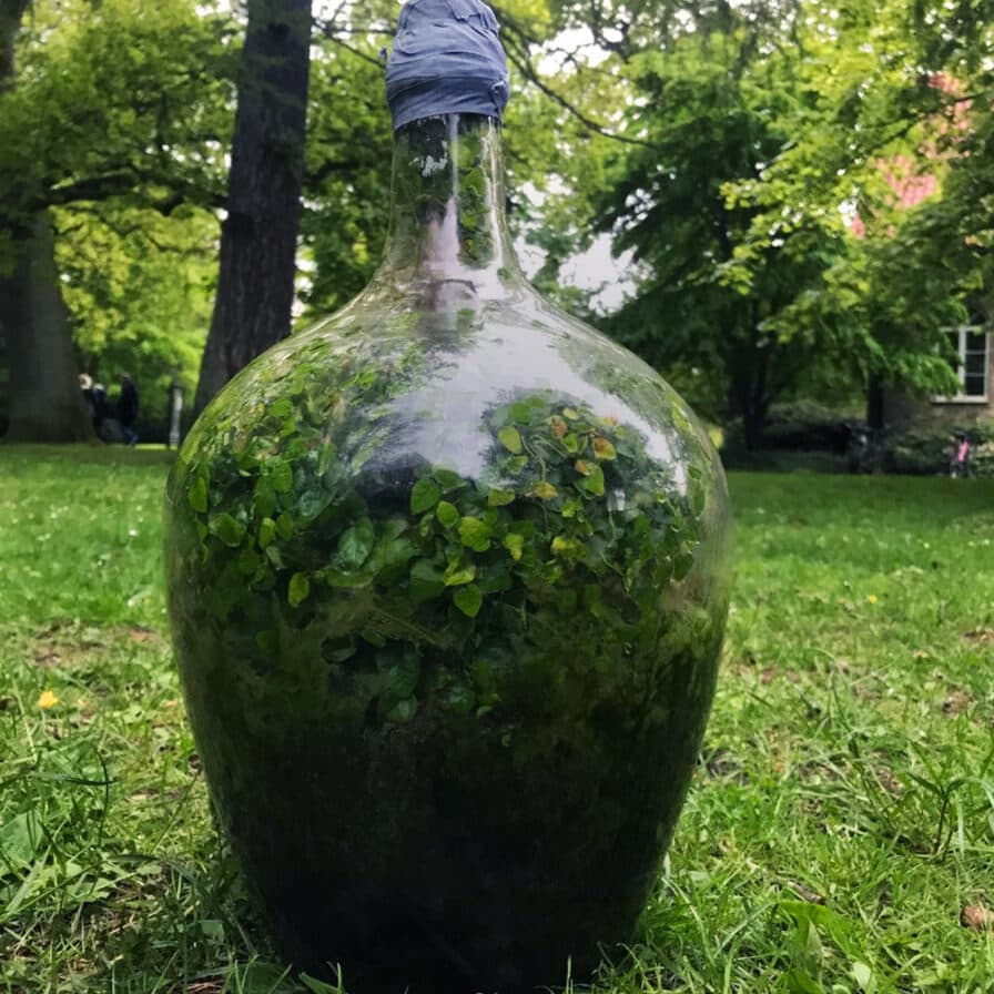 Ett minikretslopp i en flaska