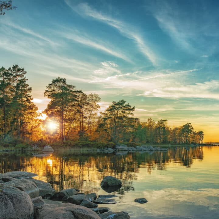 träd, kväll, vår, naturlig, vy, vacker, moln, bakgrund, scen, solsken, lugn, ljus, grön, färg, gyllene, panorama