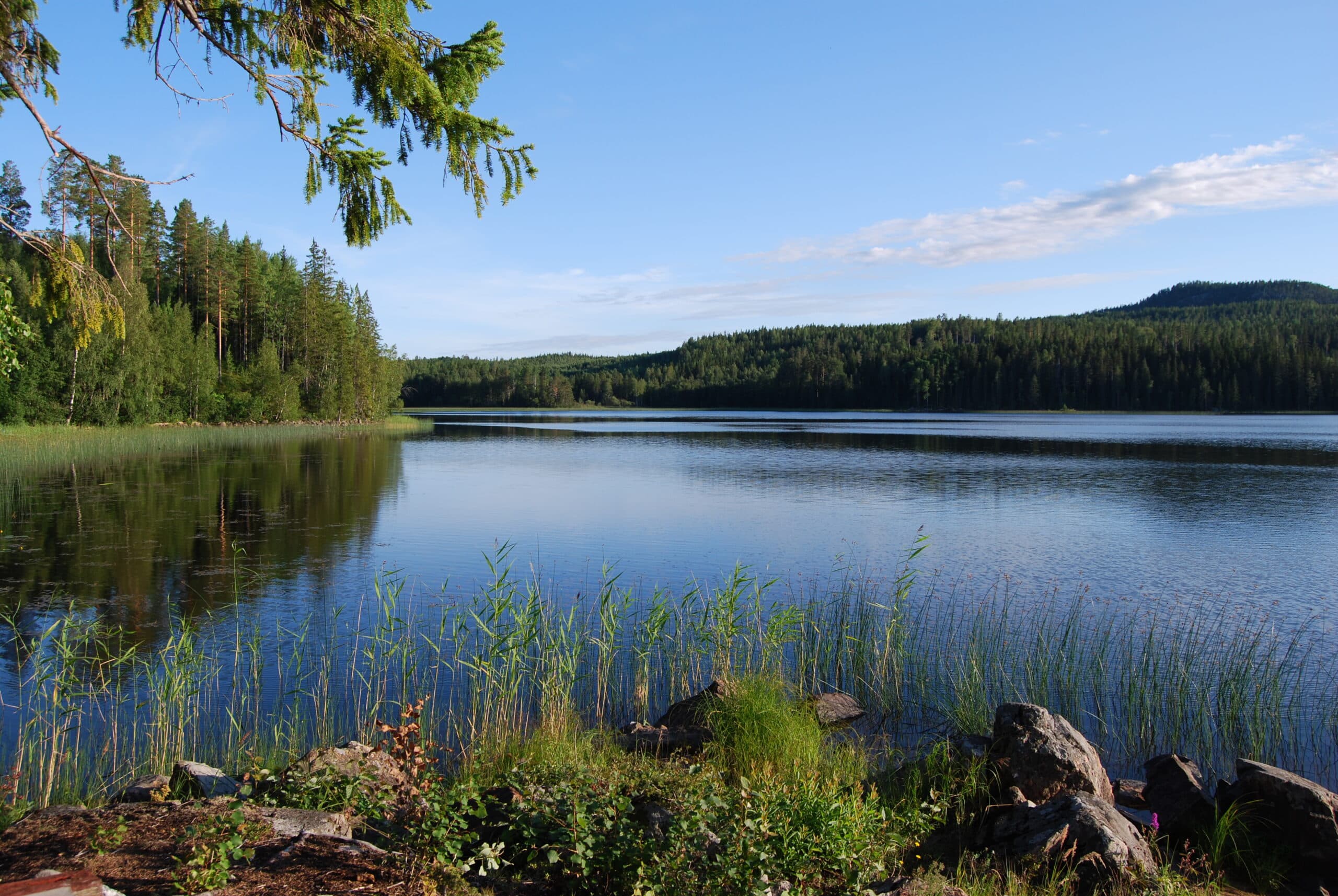 Sjö, Sjöar, Vatten, Skog, Grönska, Natur, Blå, Blå himmel