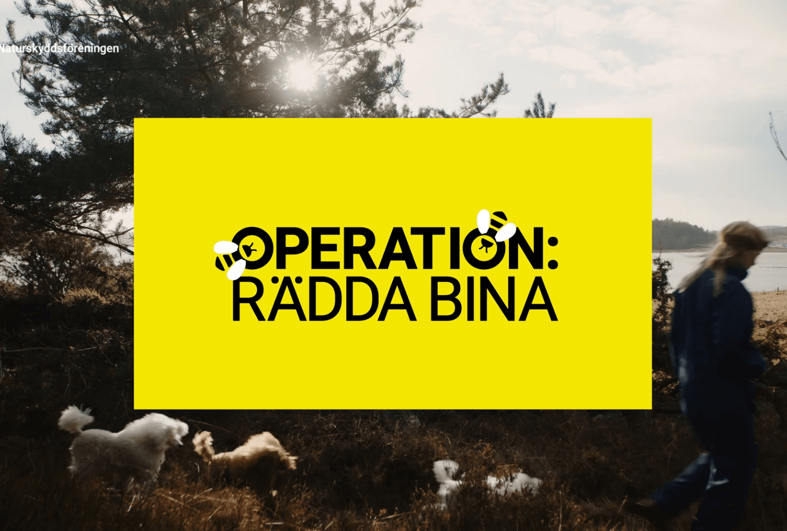 rädda bina, videoomslag