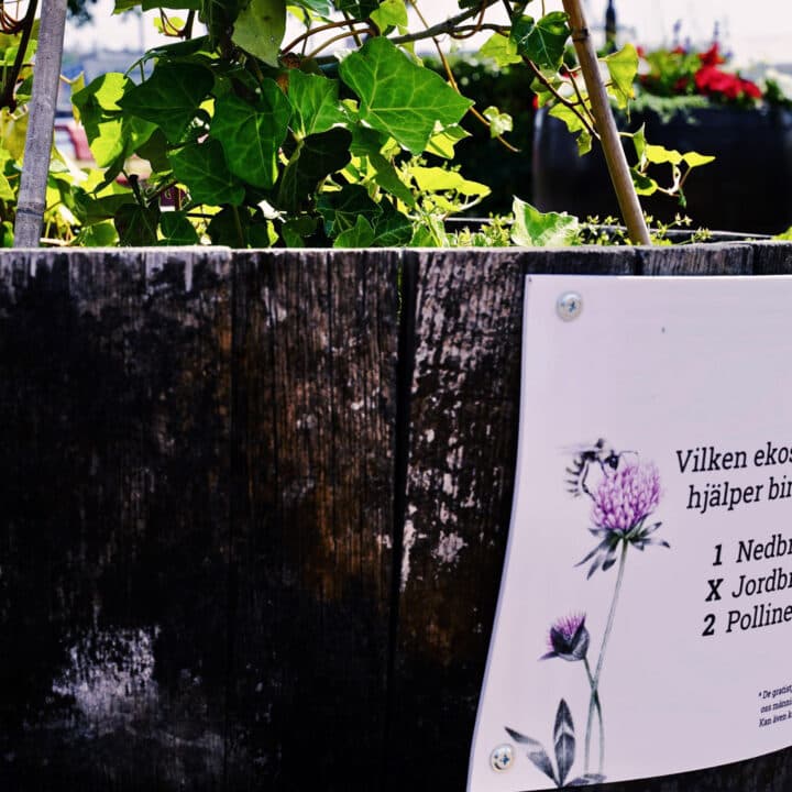 tipsrunda, bin, oskarshamn, quiz