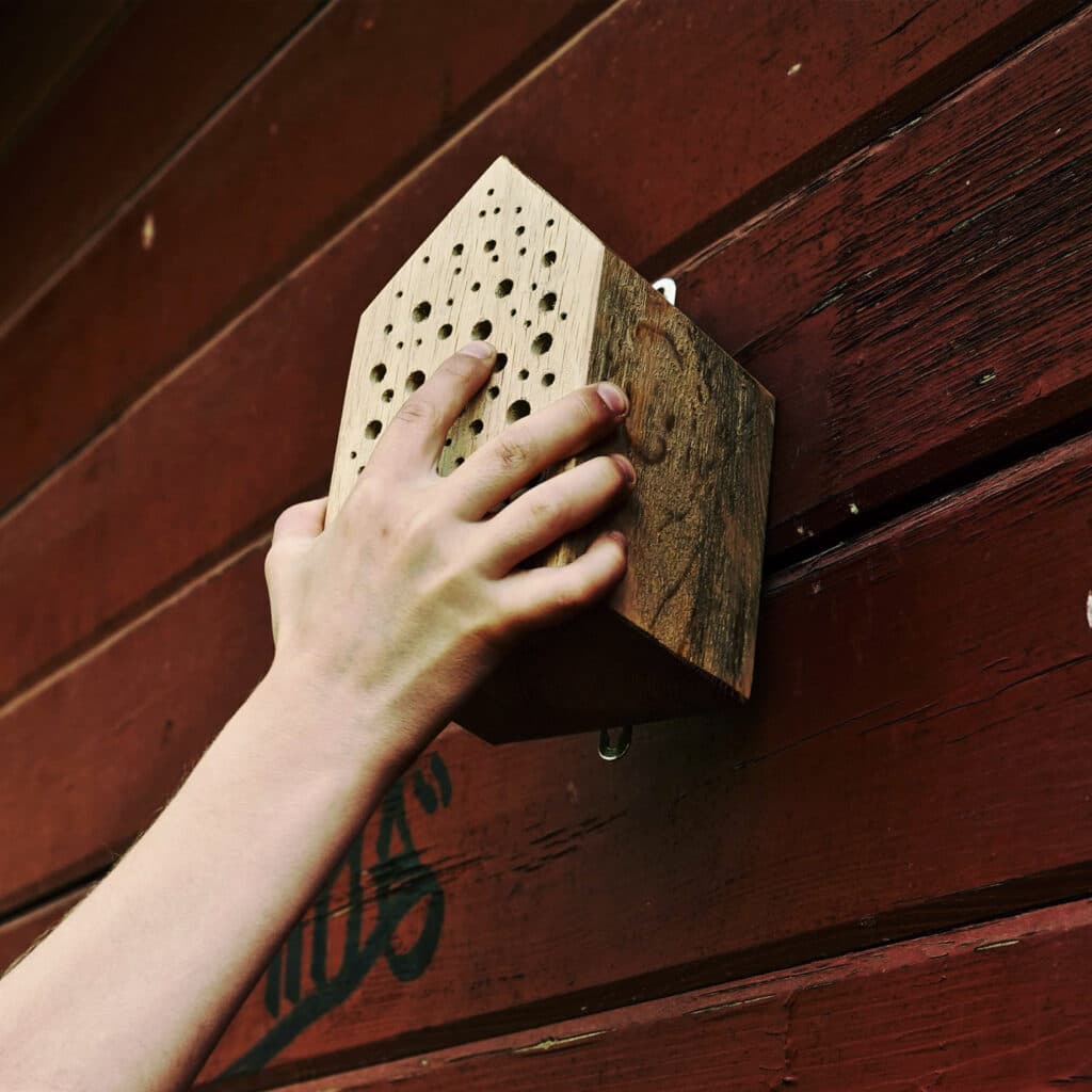 bihotell, vildbihotell, insektshotell, biholk, barnkammare, bin, skolgård