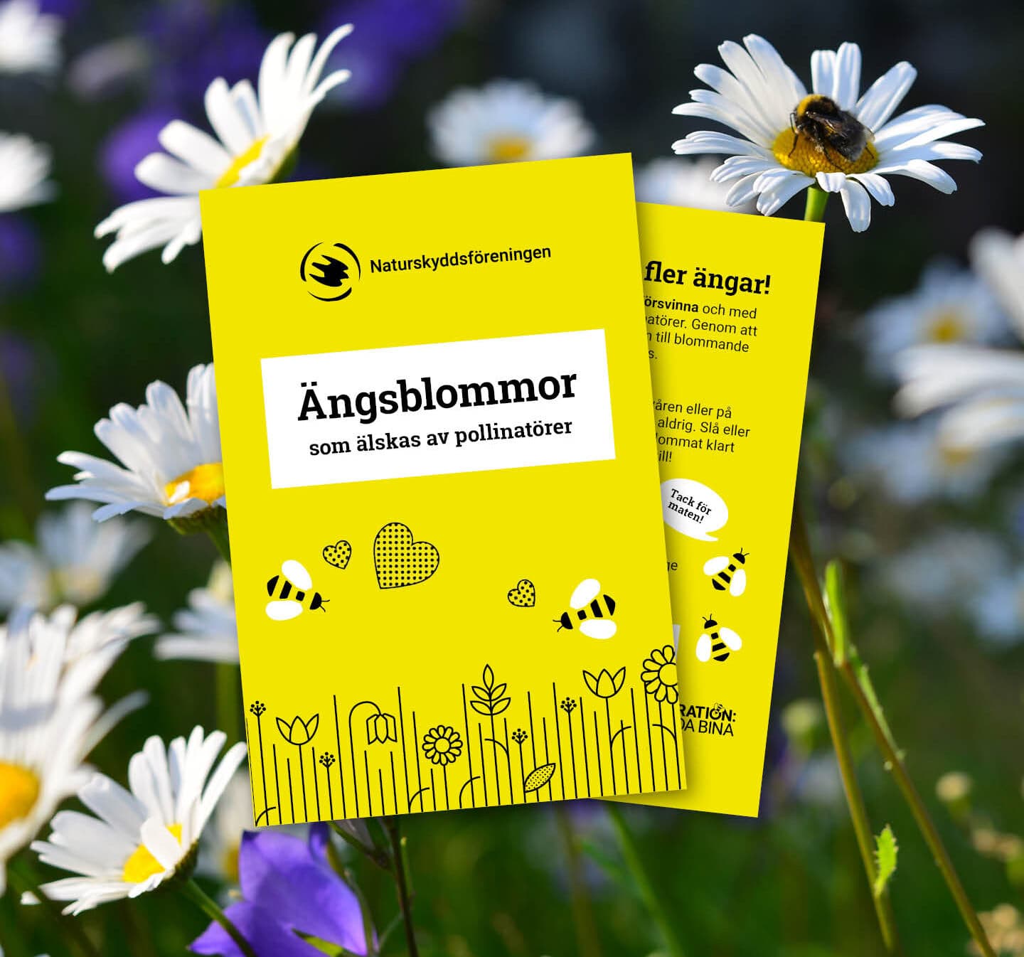 Fröpåse Ängsblommor