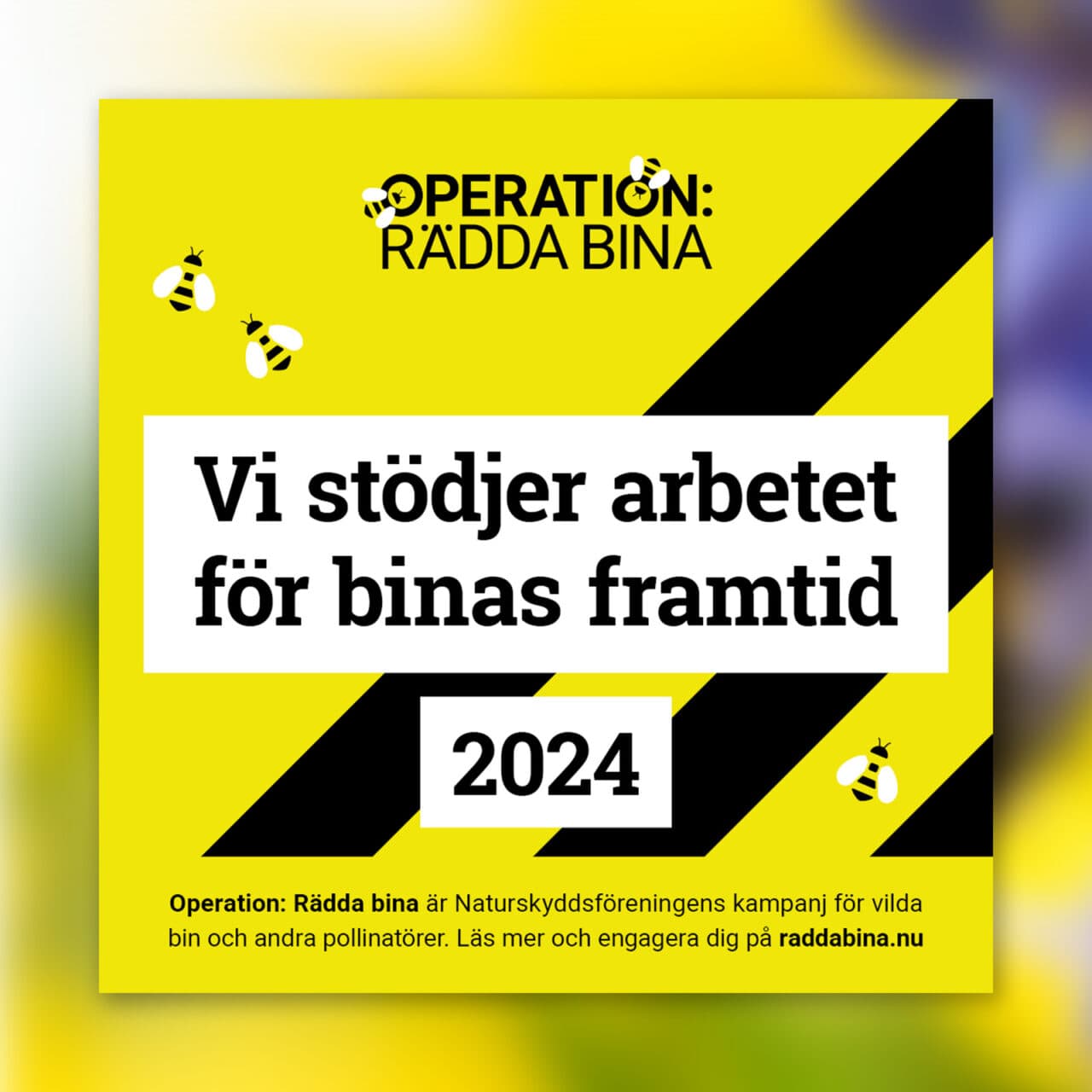 webbpuff stödföretag ORB 2024