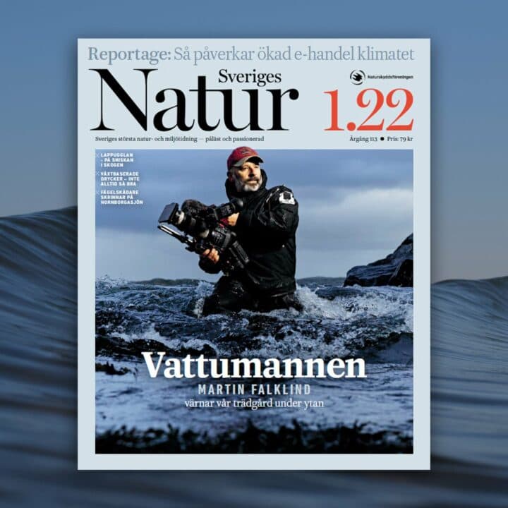 Sveriges Natur