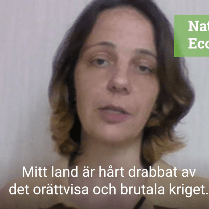 Bild från video med Natalia Gozak från vår ukrainska samarbetsorganisation Ecoaction. Uttalande om biståndsnedskärning våren 2022.