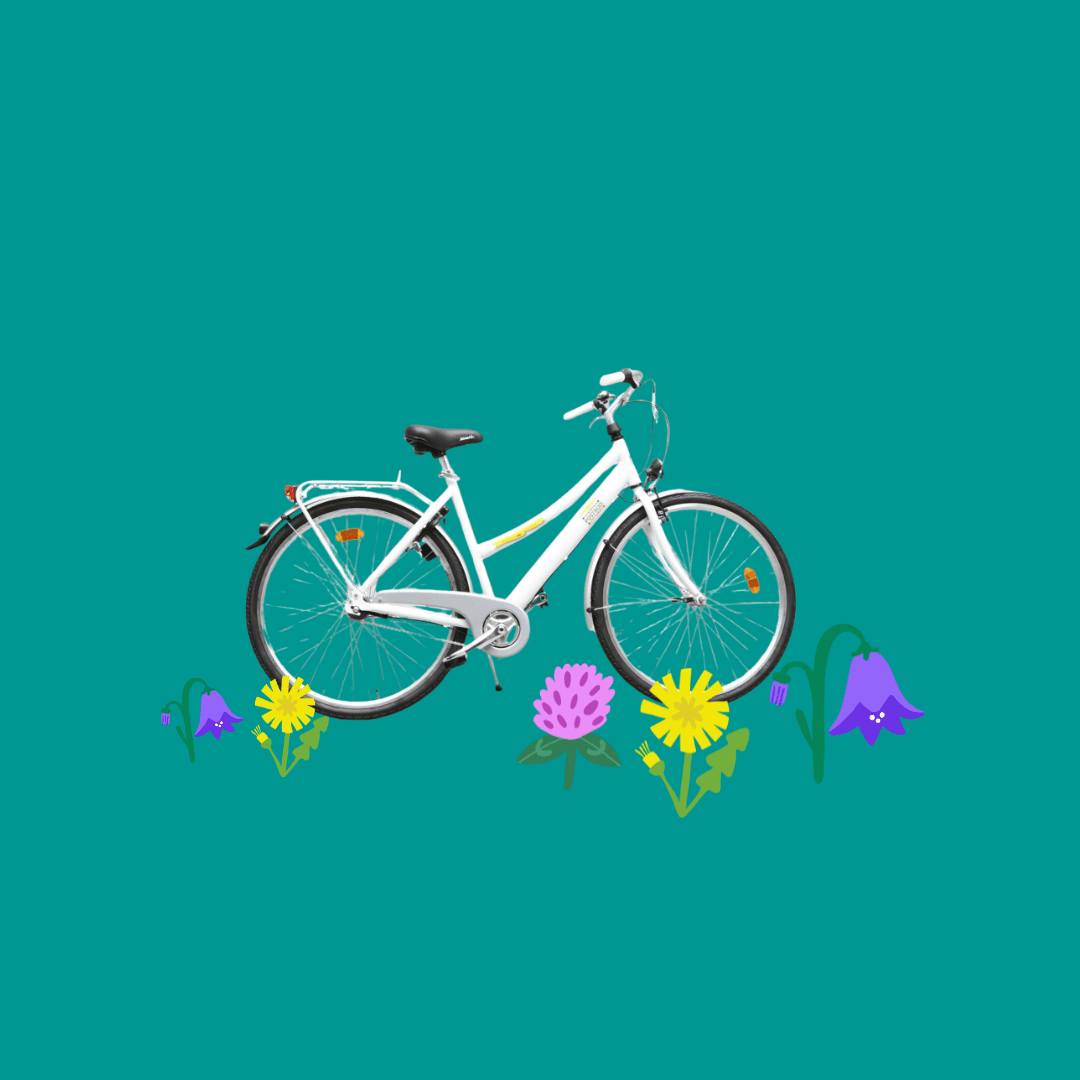 En cykel och illustrerade ängsblommor.
