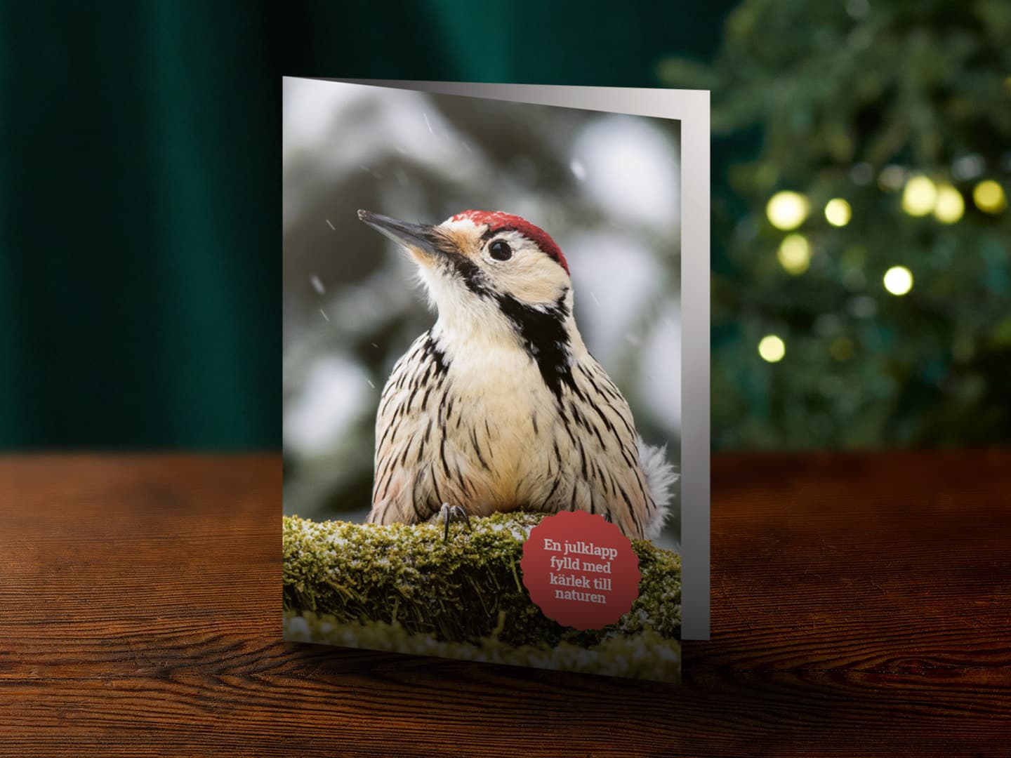Digitalt julgåvobevis - Motiv Vitryggig hackspett