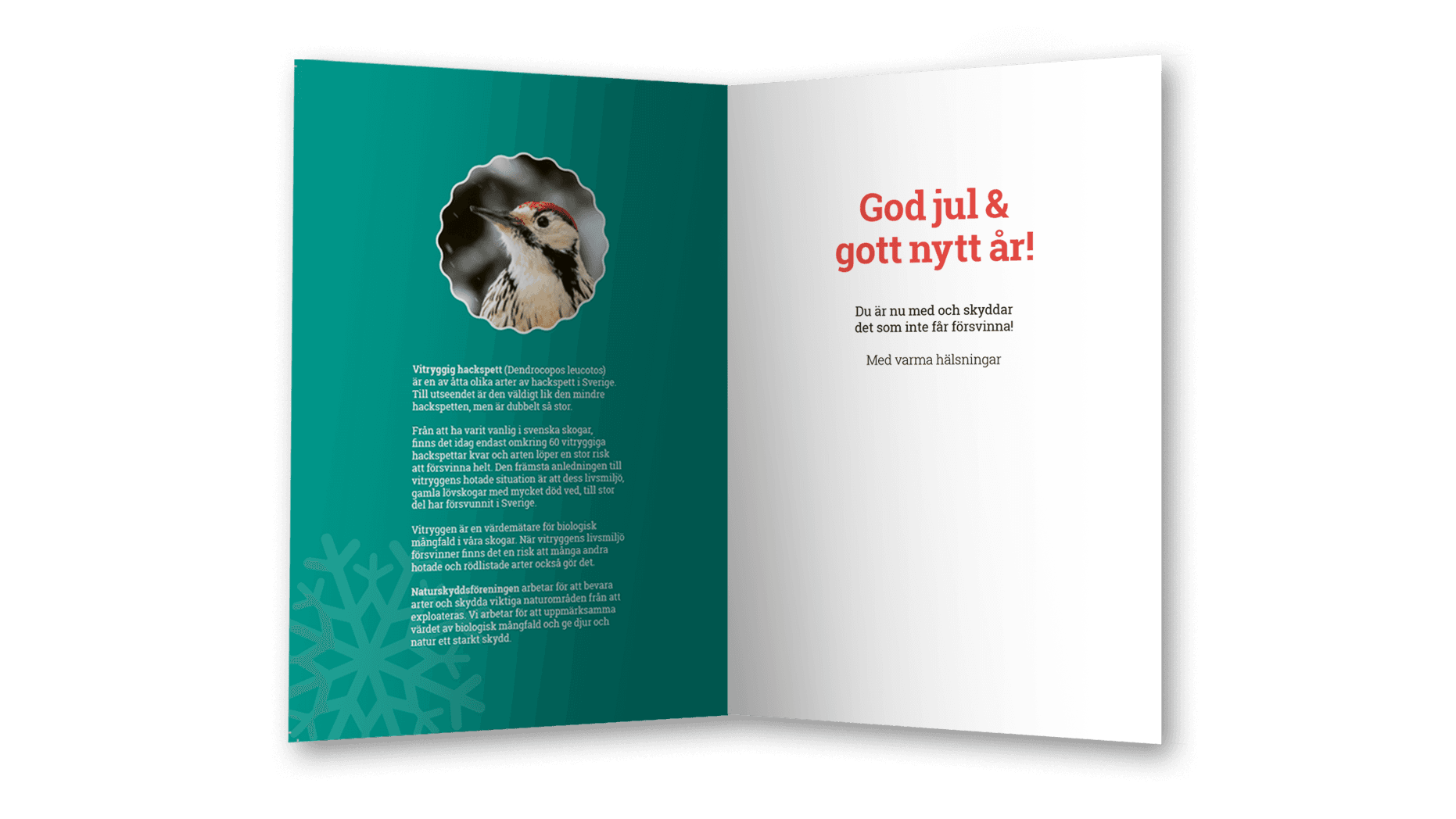 Digitalt julgåvobevis - Motiv Vitryggig hackspett