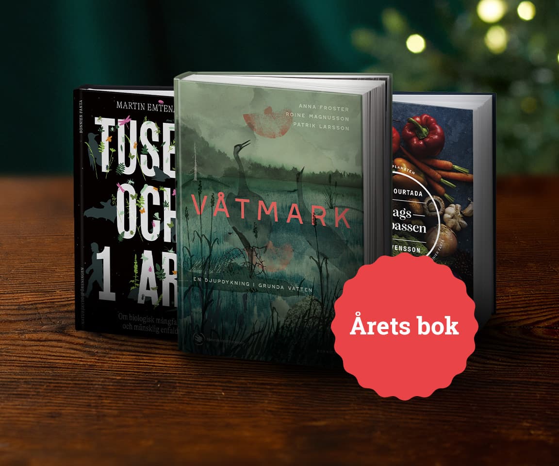 Årets bok jul 2024