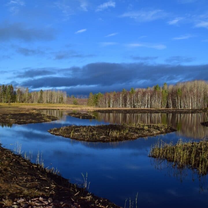 Mödänge våtmark i Bollnäs.