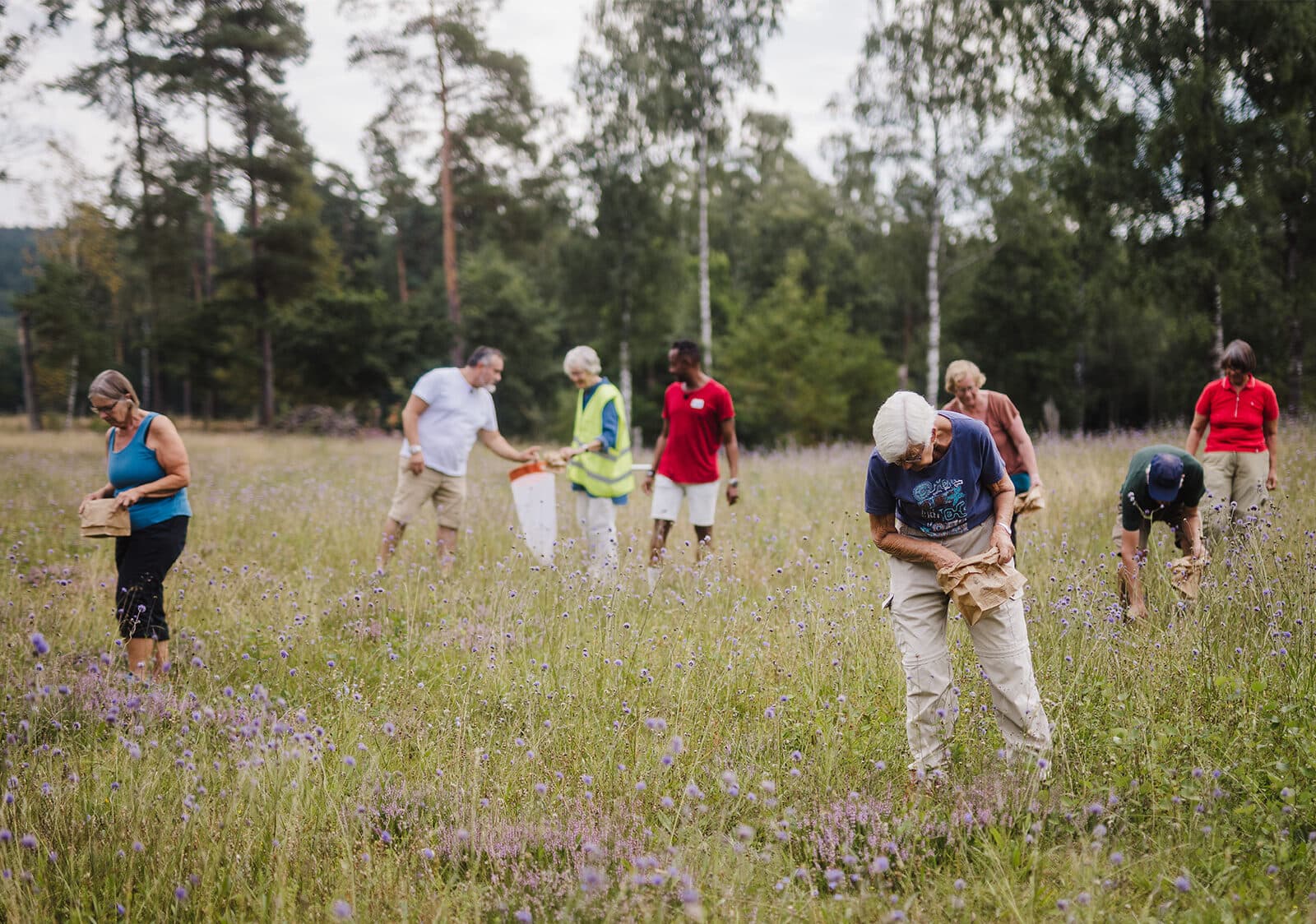En grupp människor samlar in frön på en äng.