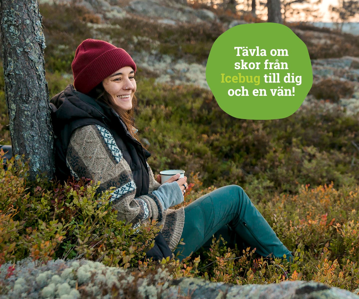 Quiz om allemansrätten, Skogsdagarna