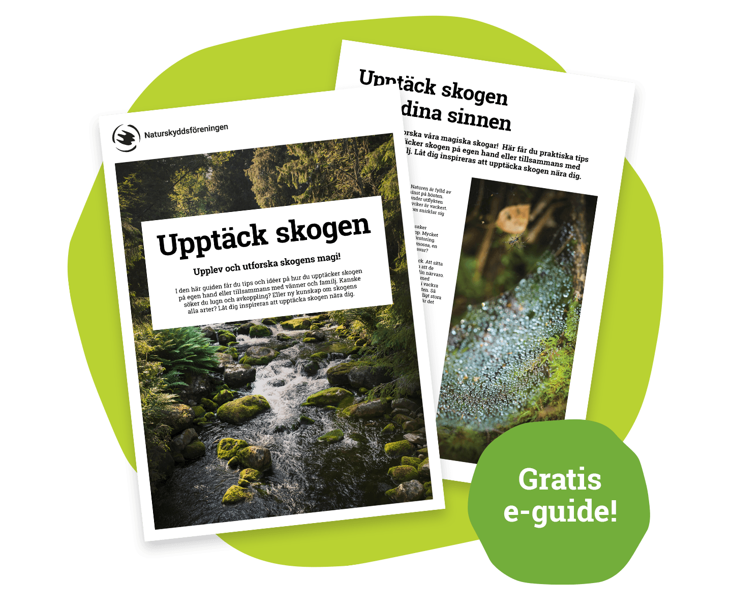 Ladda ner vår gratis e-guide Upptäck skogen.