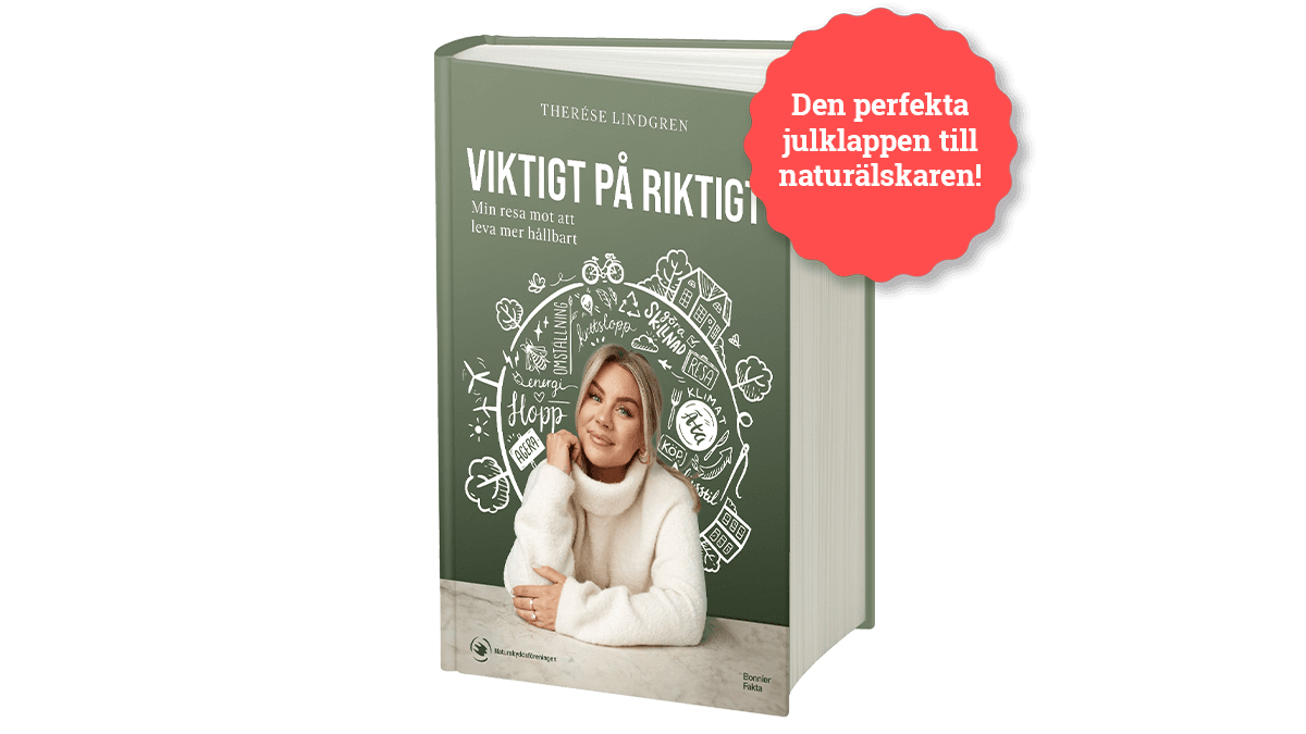 Årets bok 2023: Viktigt på riktigt