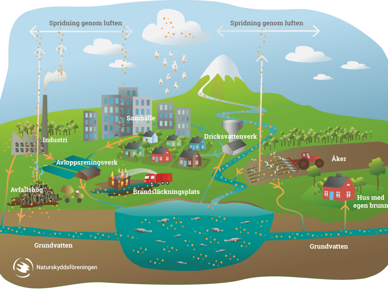 Illustration som visar spridningen av PFAS i miljön.