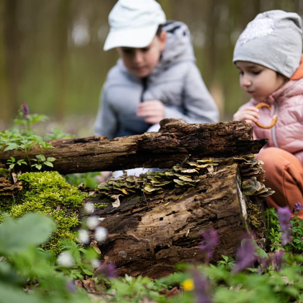 Bilden visar två barn som sitter i en skog och tittar på en gammal trädstam täckt av mossa och svampar. De verkar vara nyfikna och studerar naturen omkring dem. Skogen är grön och frodig med olika växter och blommor.