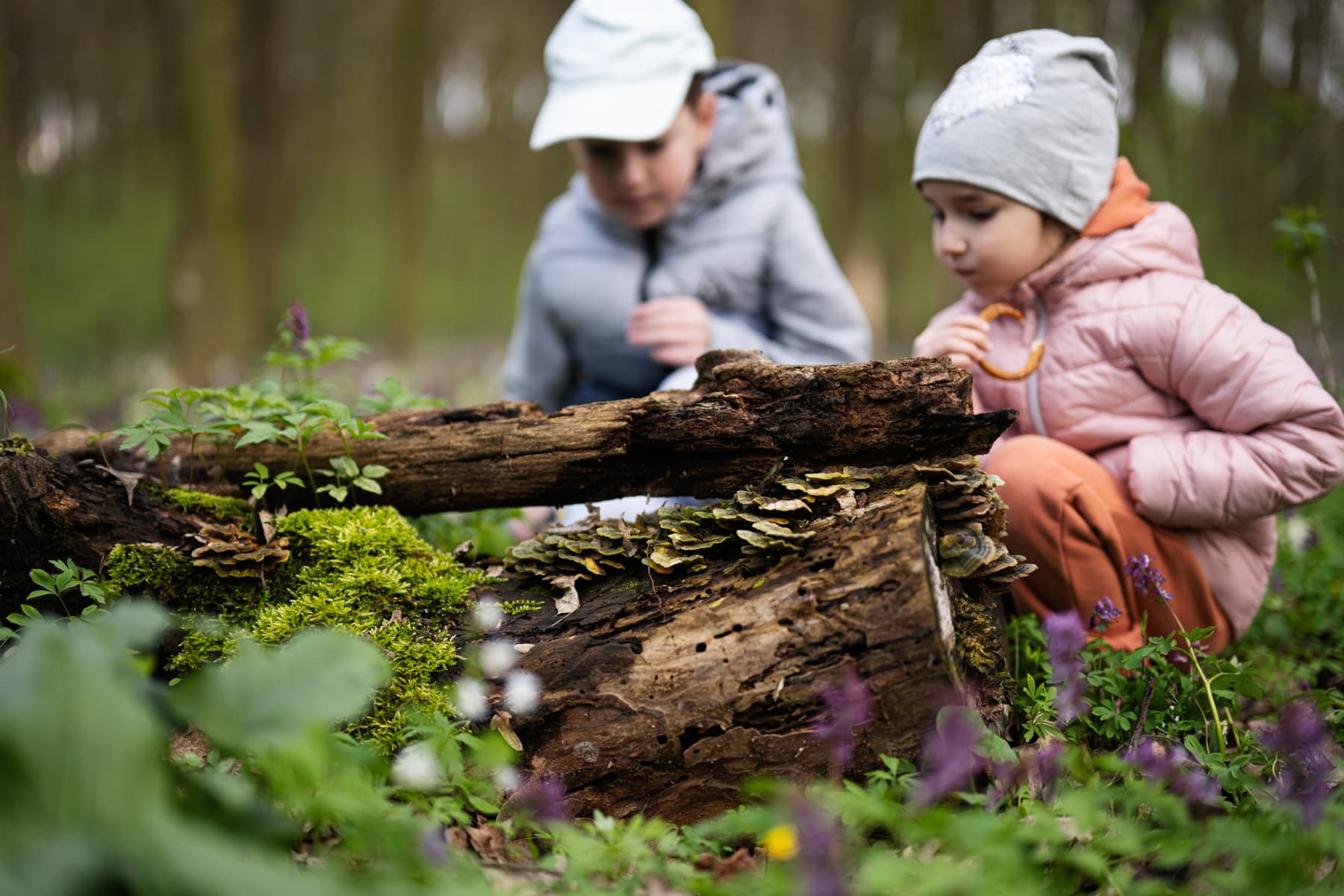 Bilden visar två barn som sitter i en skog och tittar på en gammal trädstam täckt av mossa och svampar. De verkar vara nyfikna och studerar naturen omkring dem. Skogen är grön och frodig med olika växter och blommor.