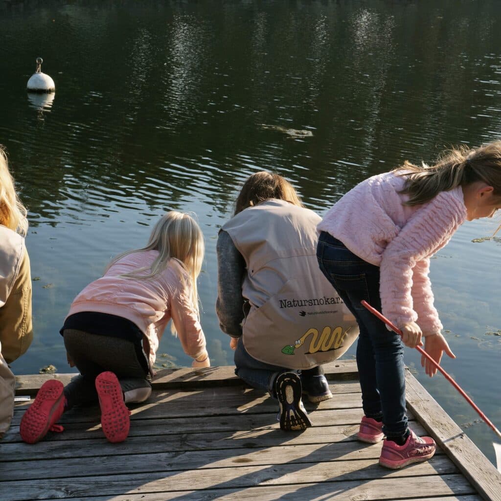 Barn och vuxna håvar i vattnet från en brygga