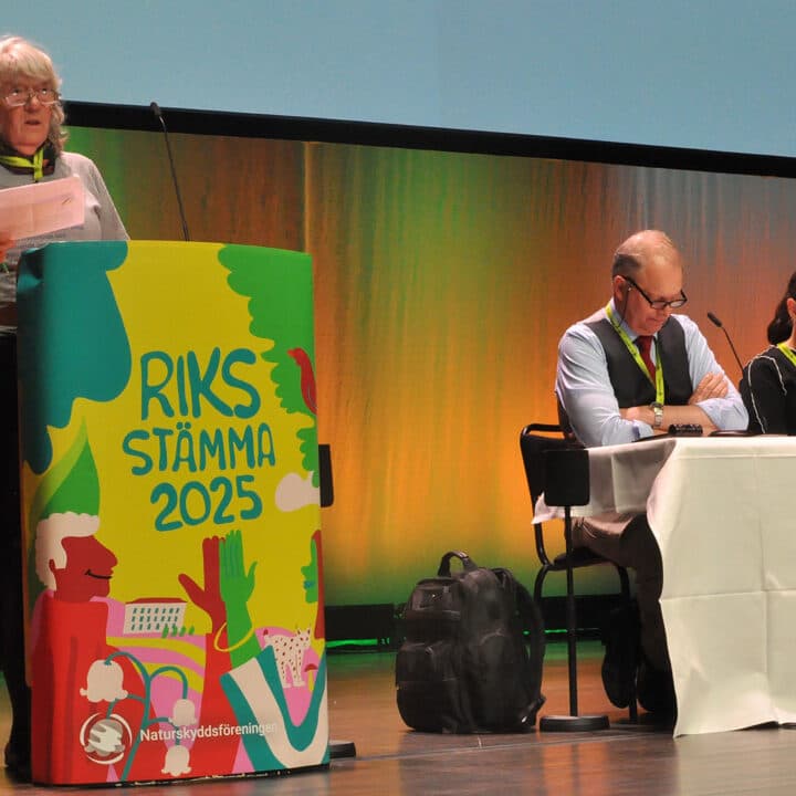 Foto över ett presidium