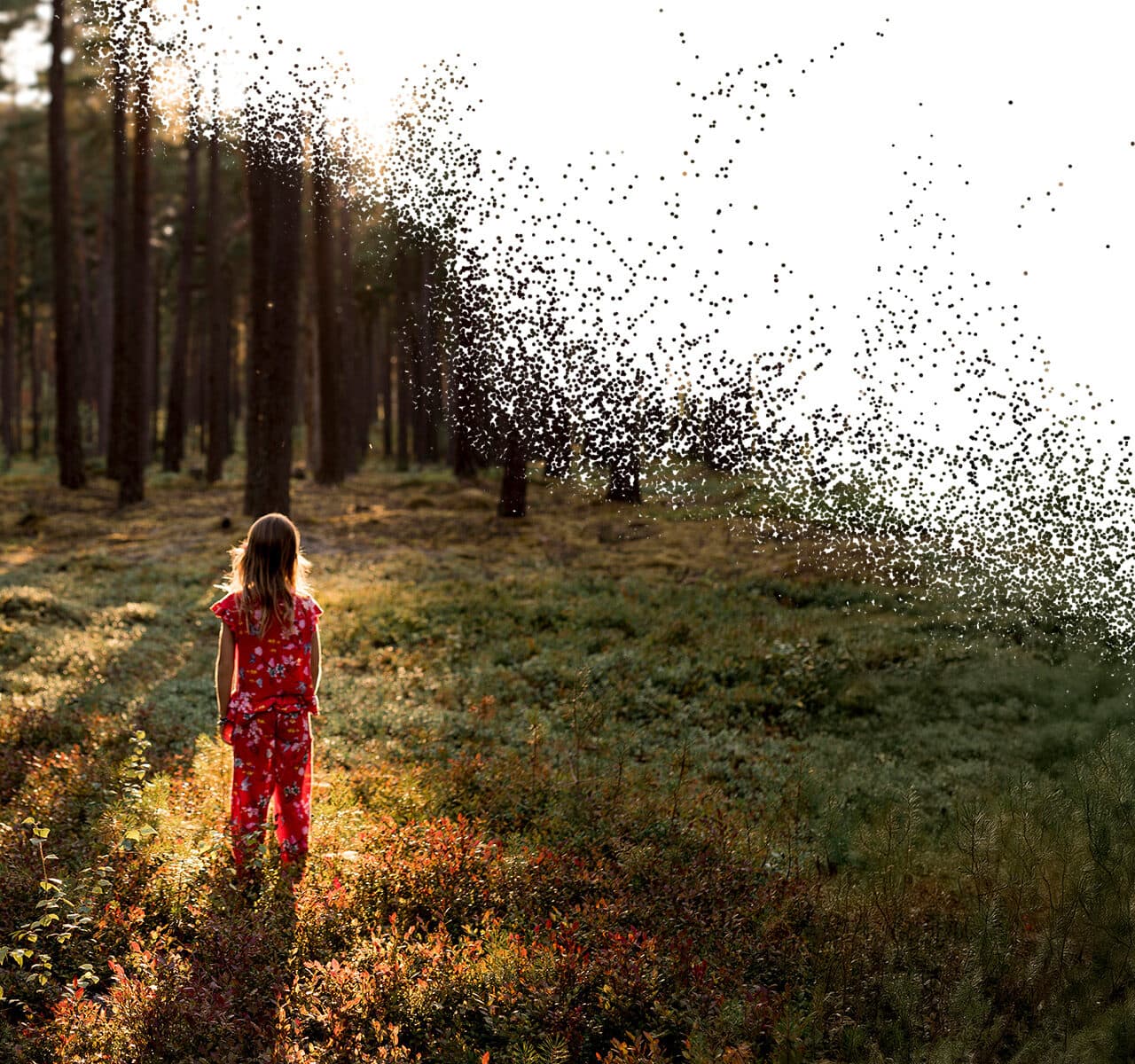 Flicka i skog, naturkrisen 2025