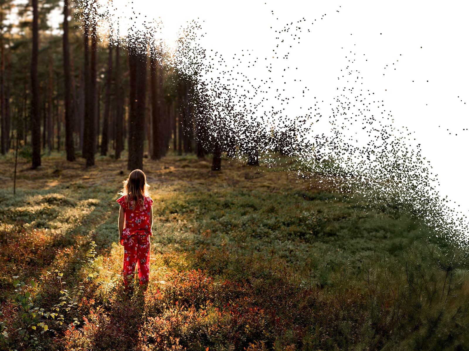 Flicka i skog, naturkrisen 2025
