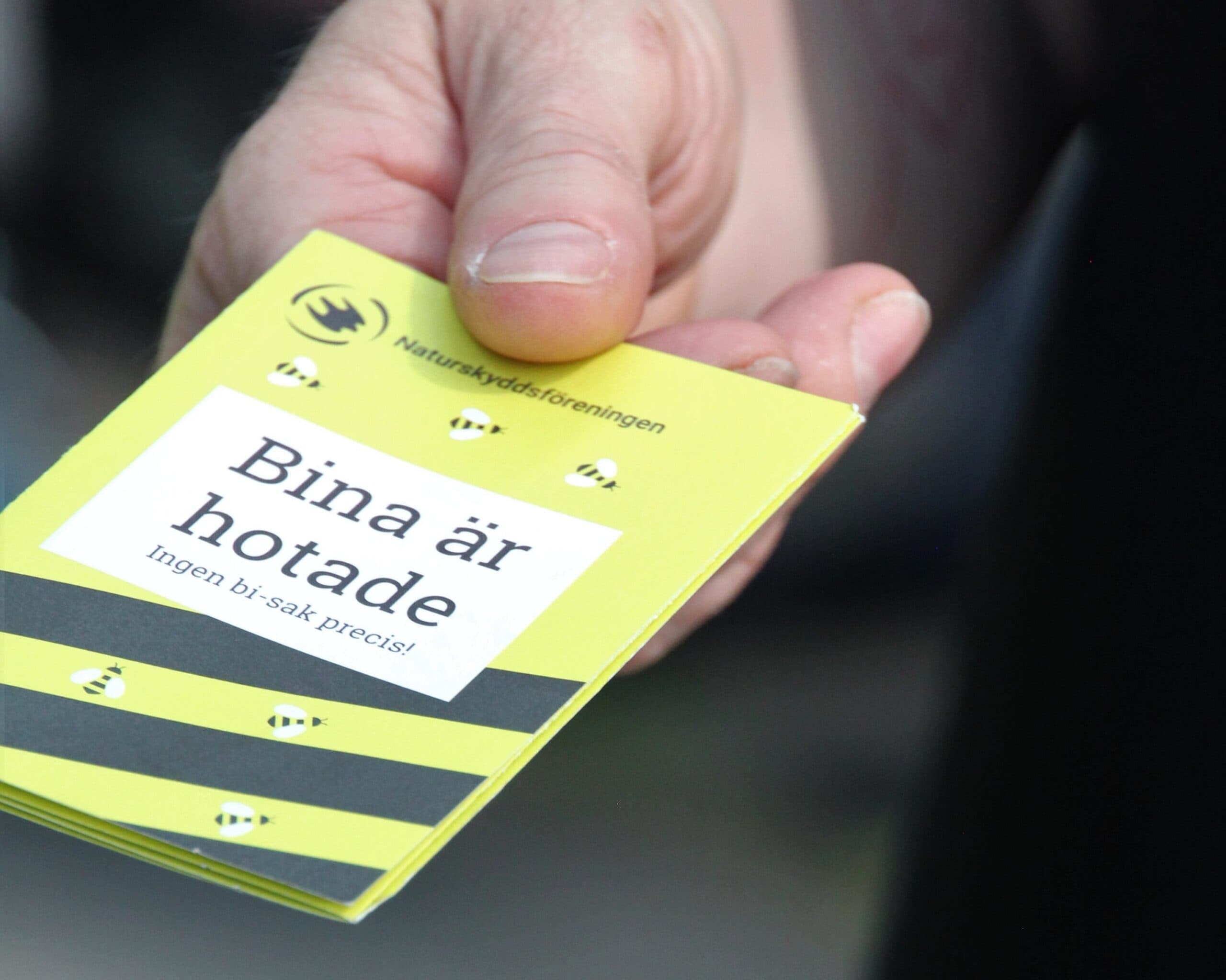 Bilden visar en hand som håller i en broschyr från Naturskyddsföreningen. På broschyren står det ...