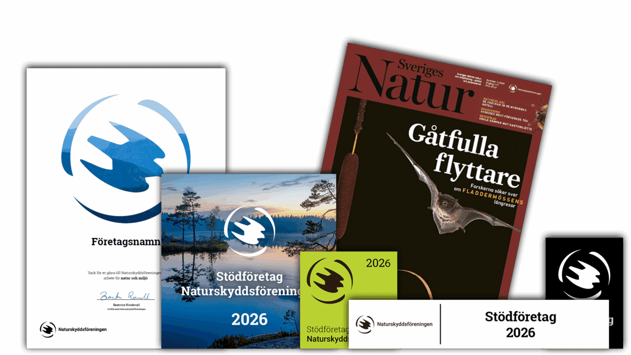 Materialpaket för stödföretag