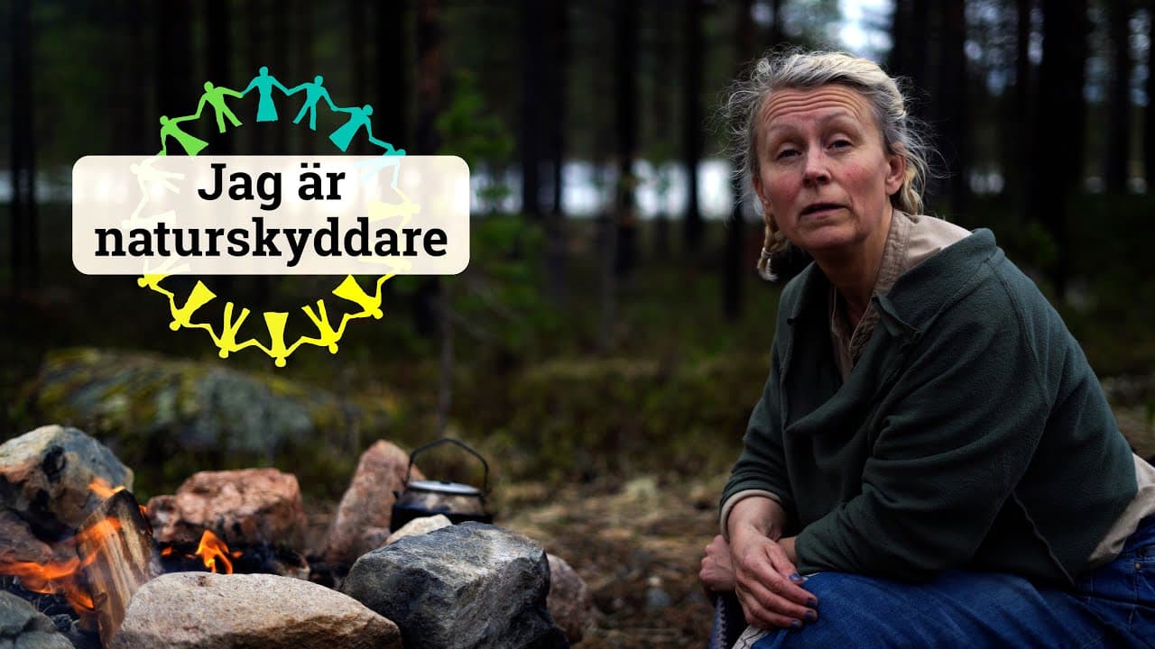 Bild från youtube-video