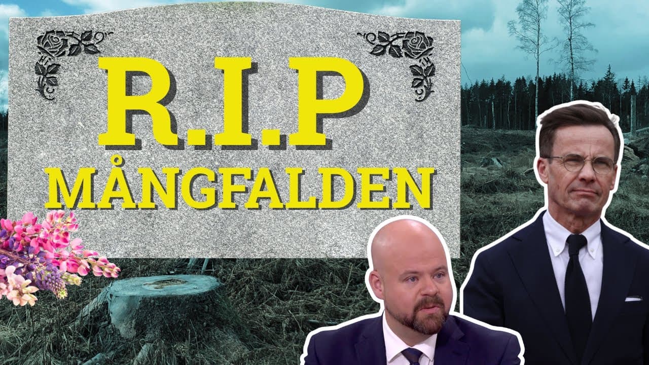 Bild från youtube-video