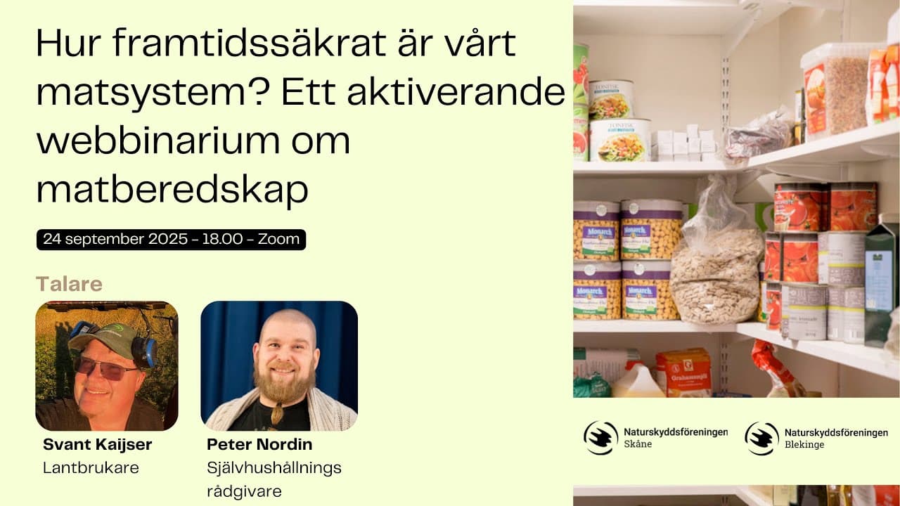 Bild från youtube-video