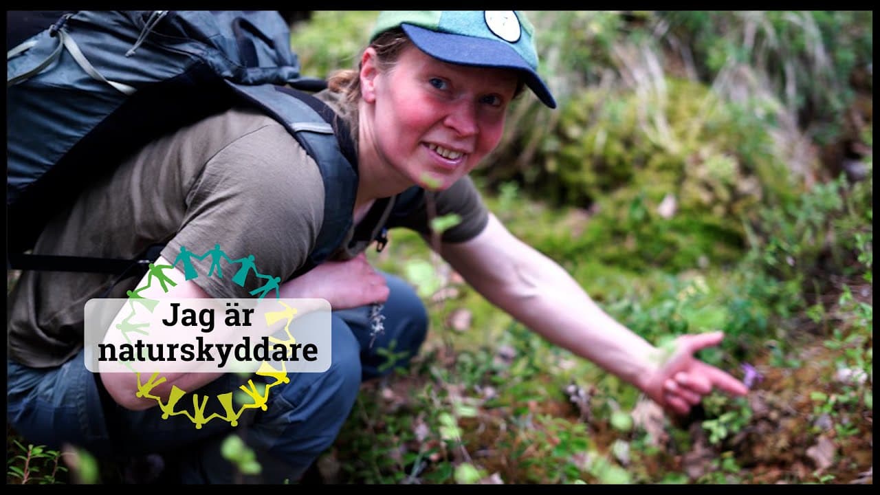 Bild från youtube-video