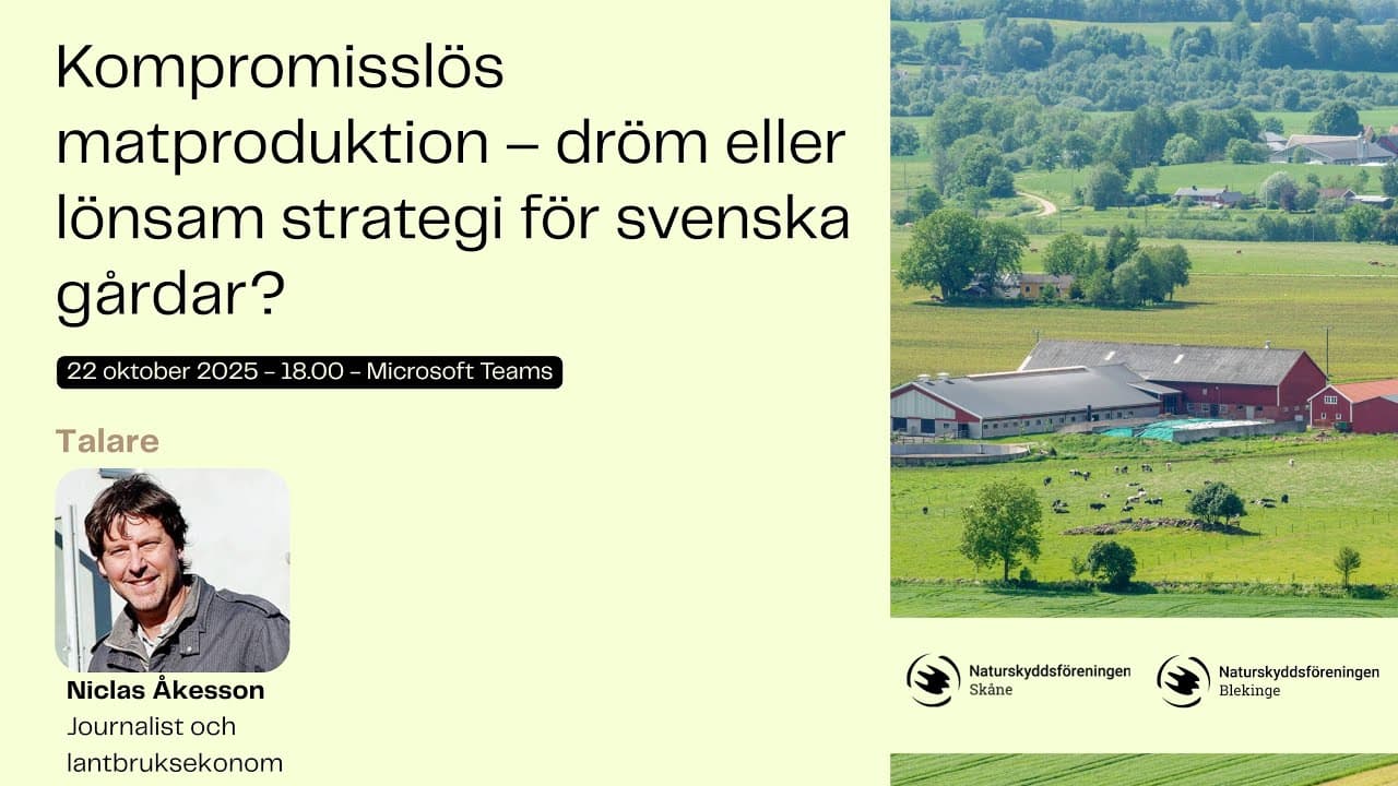 Bild från youtube-video