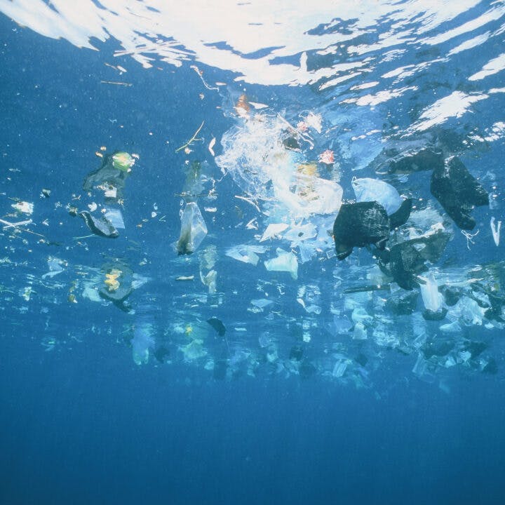 Rapporten Rätt plast på rätt plats går på djupet om plastens miljöpåverkan, och hur vi ska ta oss till en mer hållbar plastanvändning.
