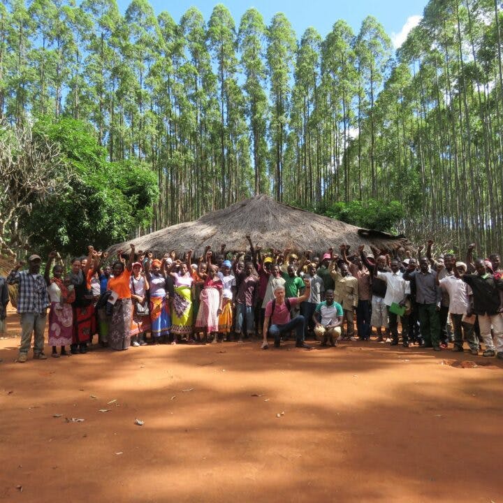 Mozambique, WRM, Samarbetsorganisation, Globala, Regnskog, Besök, World Rainforest Movement