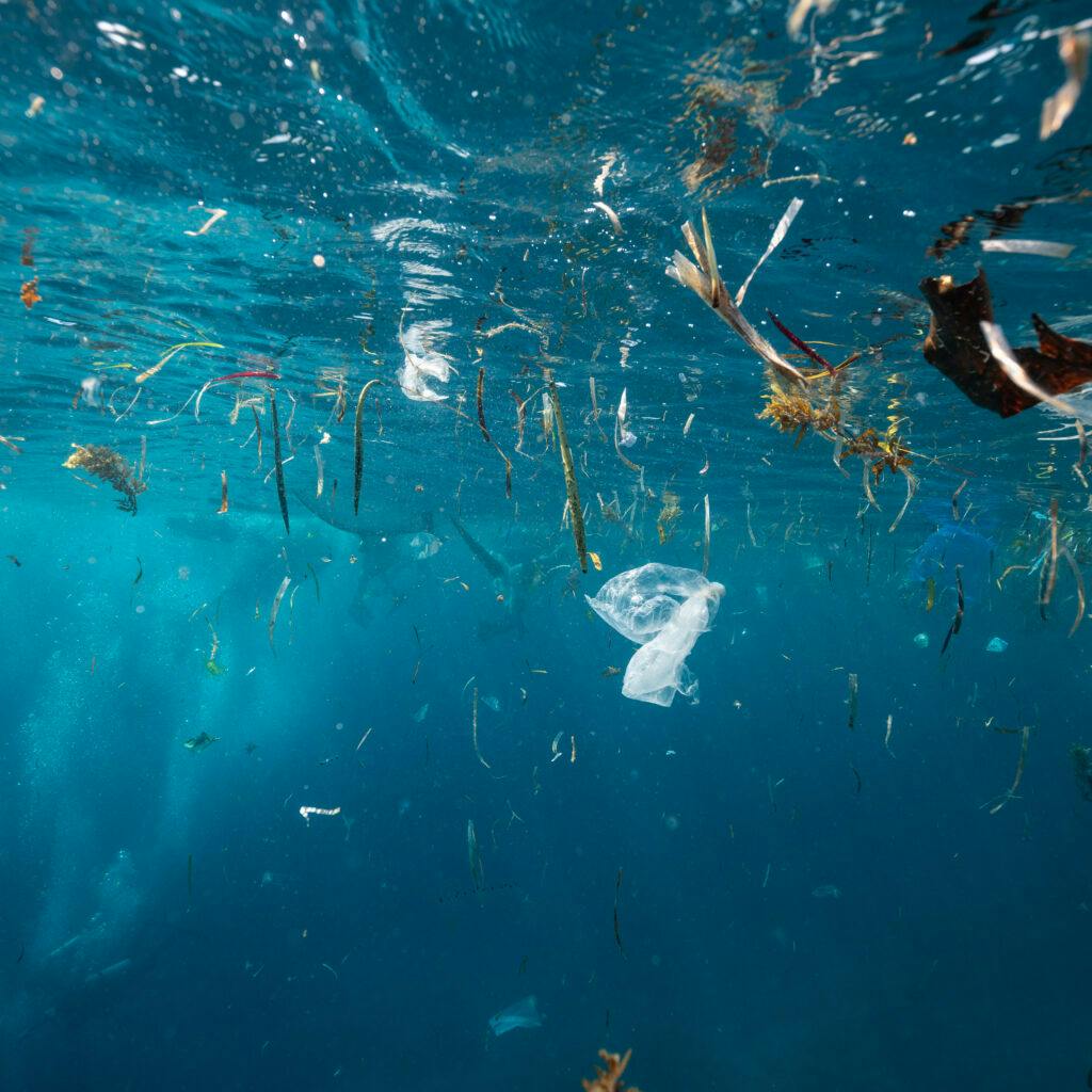 Skräp, plast, hav, förorening, pollution, plastic, hav, vatten, globala