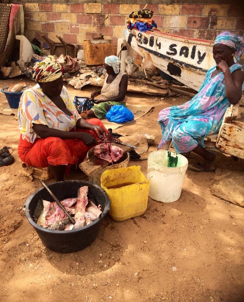 Fiske, Kvinnor, Senegal, Småskaligt, Fish traders, Kvinna
