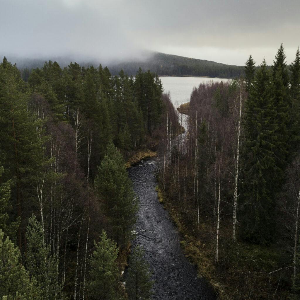 skog, blandskog, barrskog, Natur, Vatten, Vattendrag, Sjö, Älv, Flod, Norrbotten, Laver