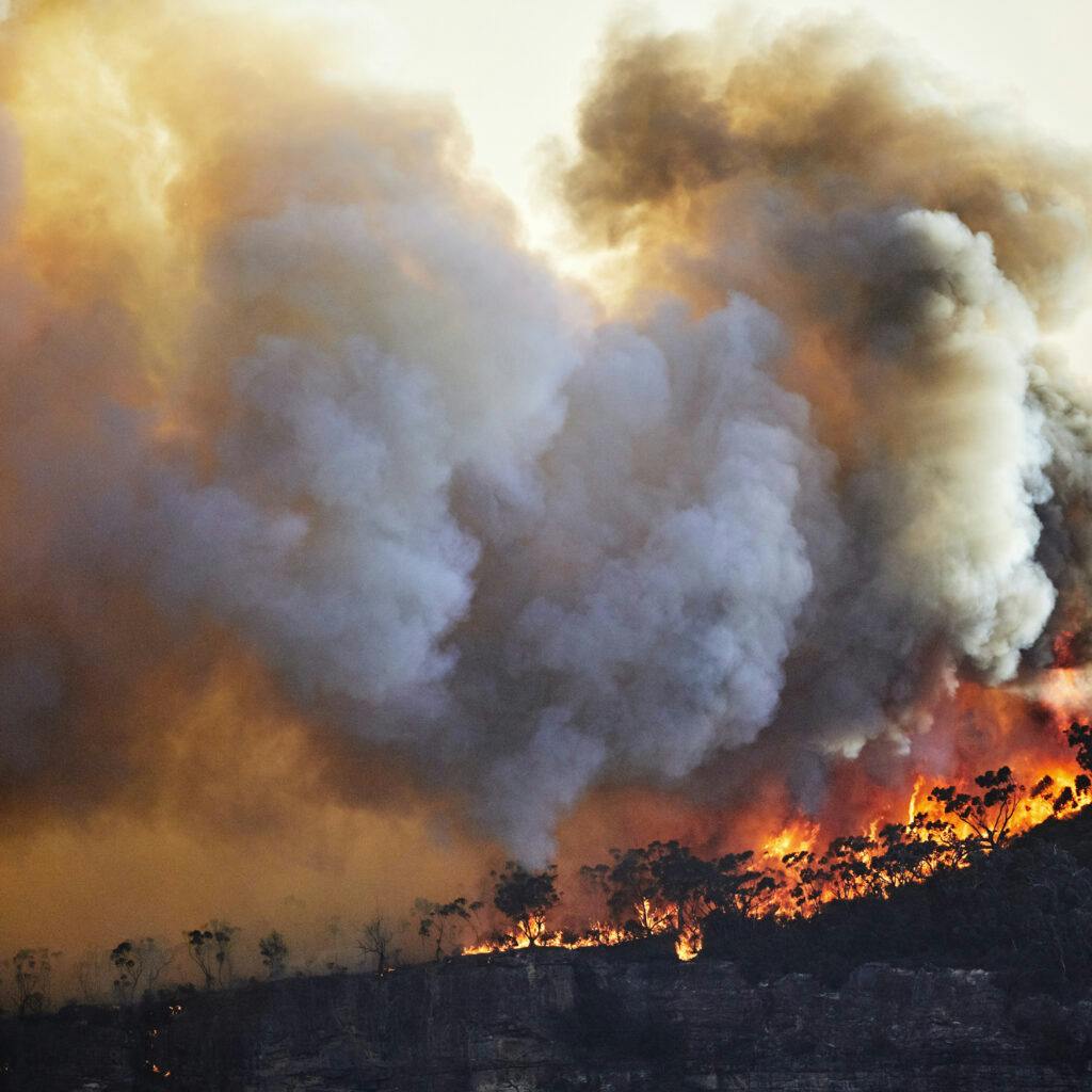 Skogsbrand i Australien.