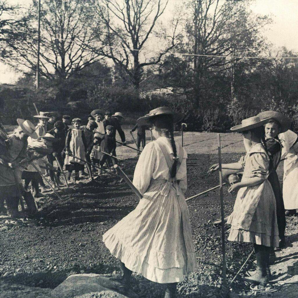 skolträdgård, skolträdgården, åtvidaberg, 1910, odling