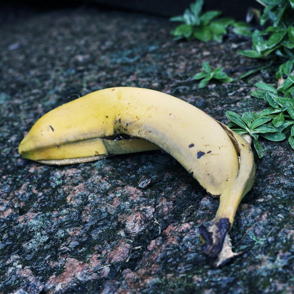 bananskal, slutslängt, skräp, banan, nedbrytning