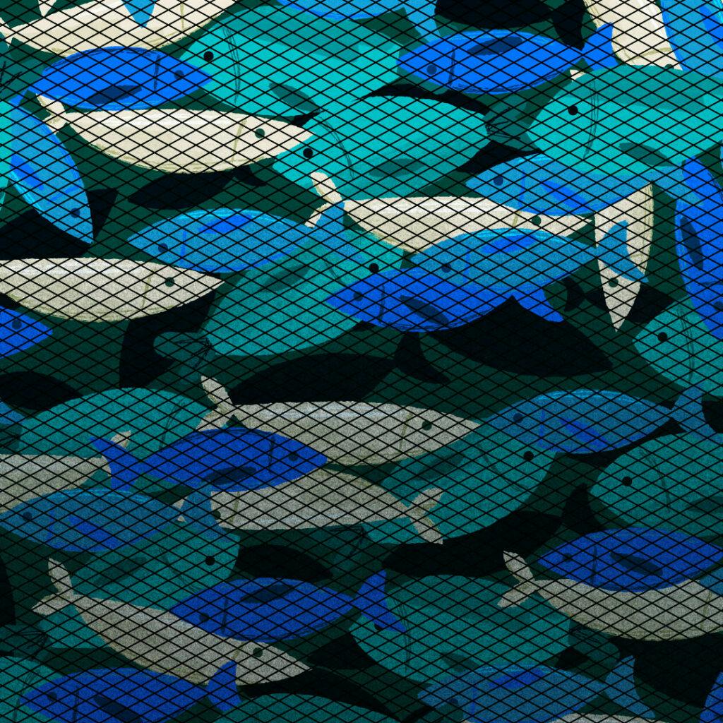 Illustration av många fiskar i nät.