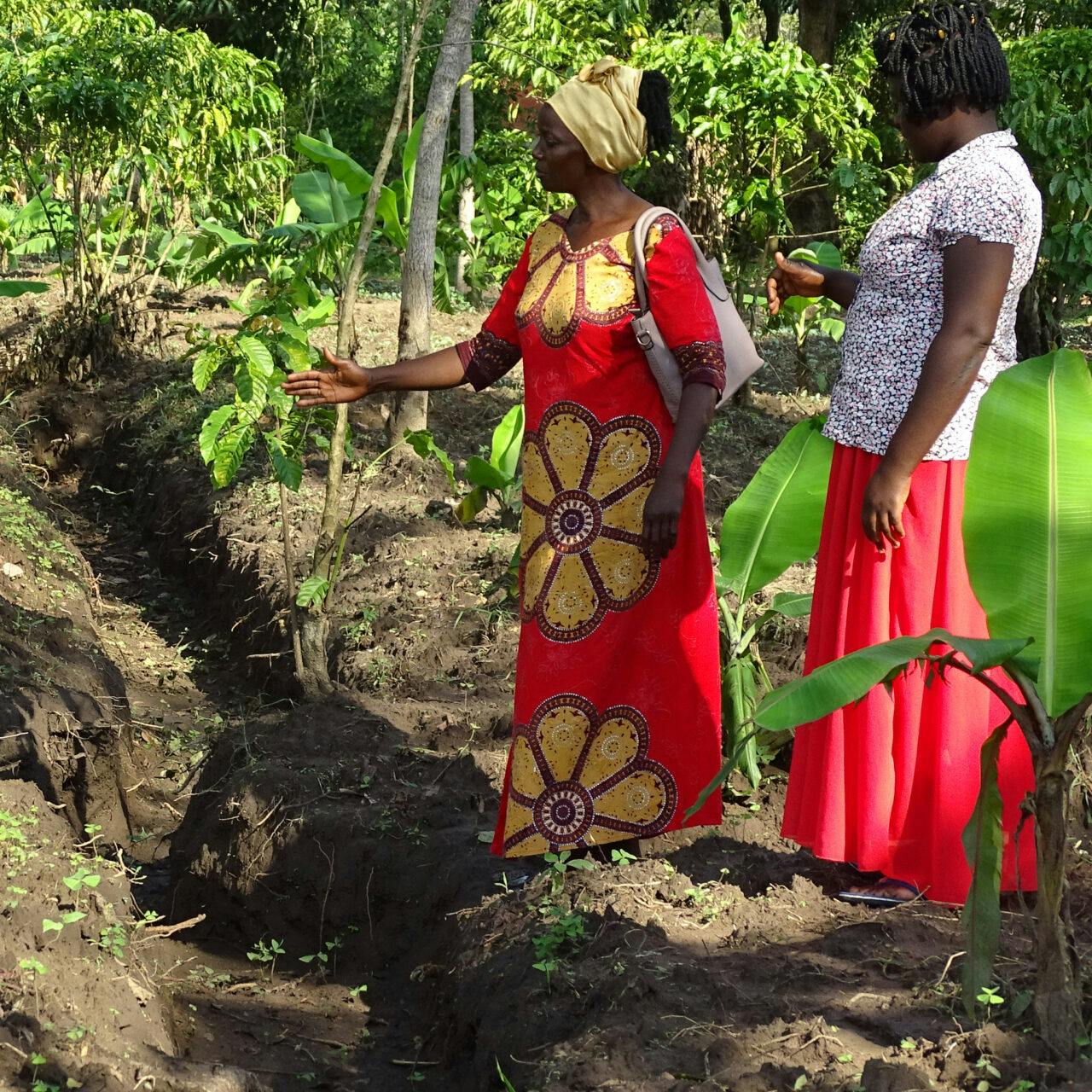 Två kvinnor står vid en ekologisk odling.