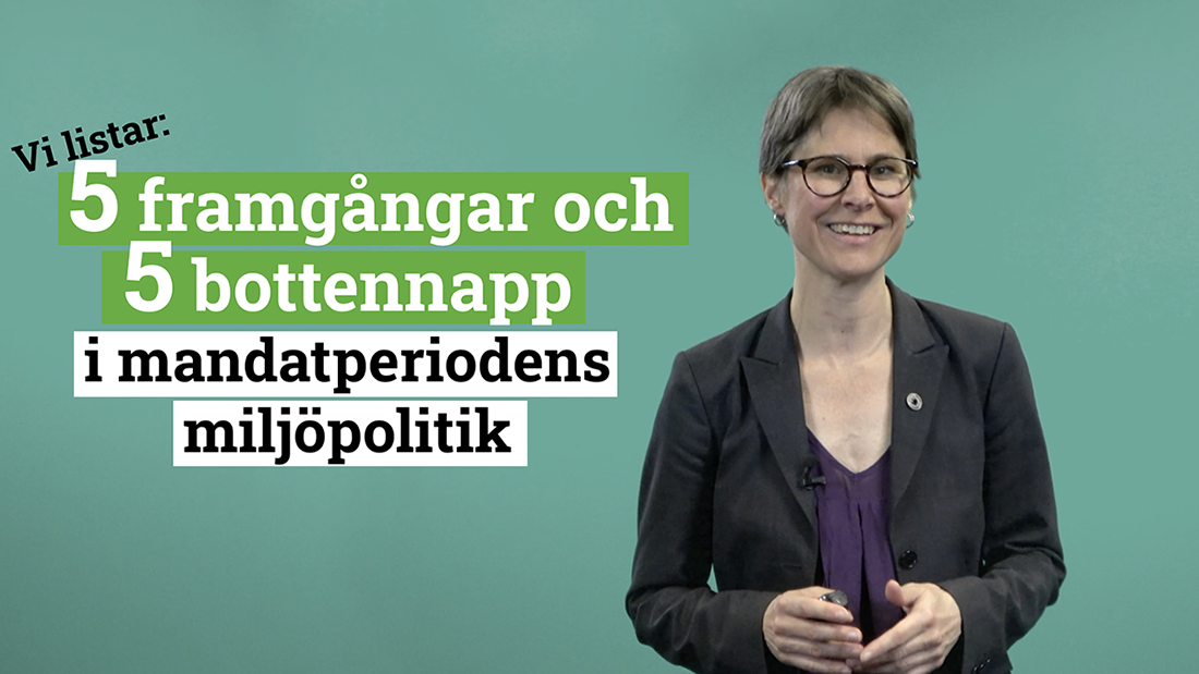 Johanna Sandahl, ordförande Naturskyddsföreningen. Framgångar och motgångar för miljön